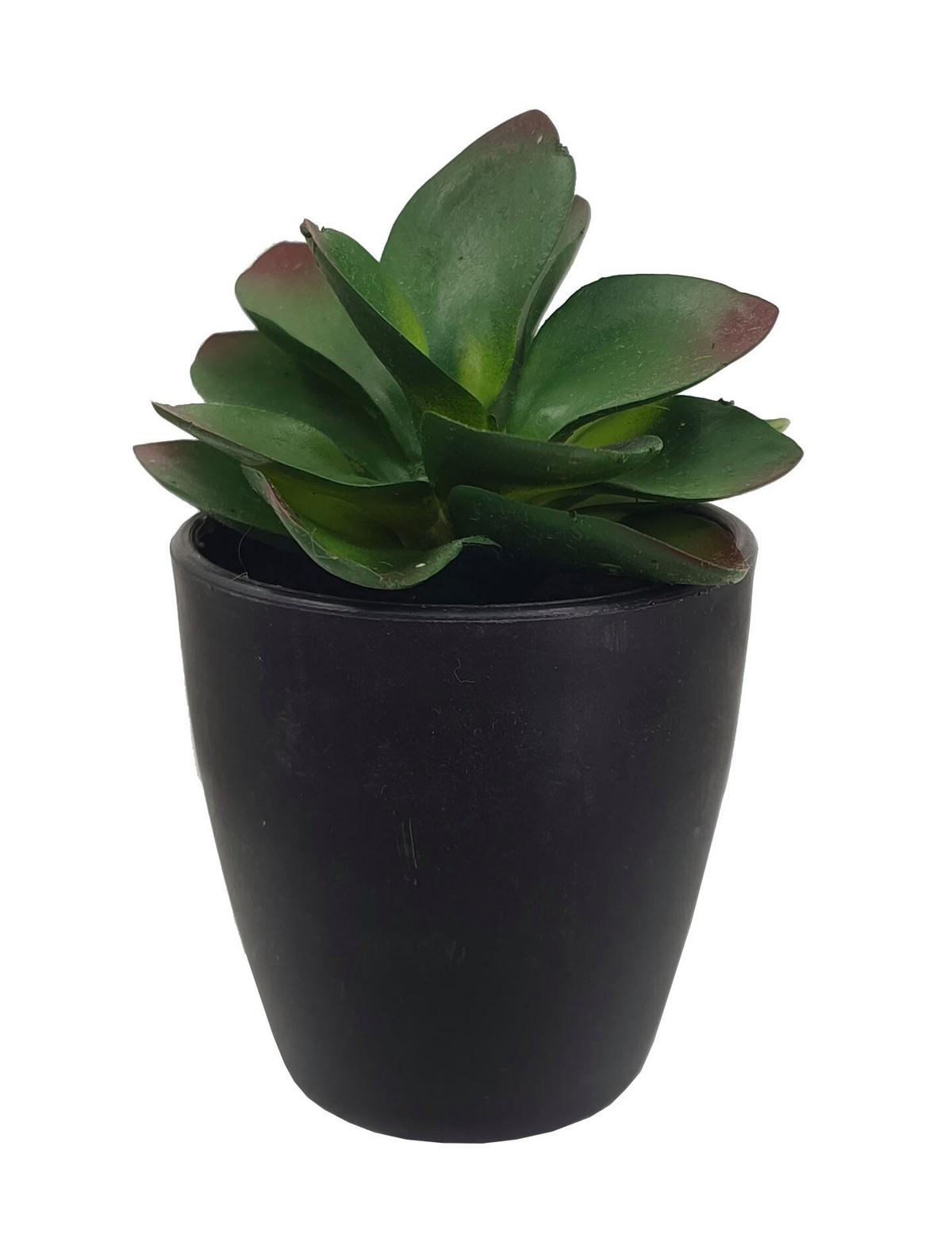 Kunstpflanze Isabella - Weiß/Grün, MODERN, Kunststoff (8/9-16cm) - Luca Bessoni