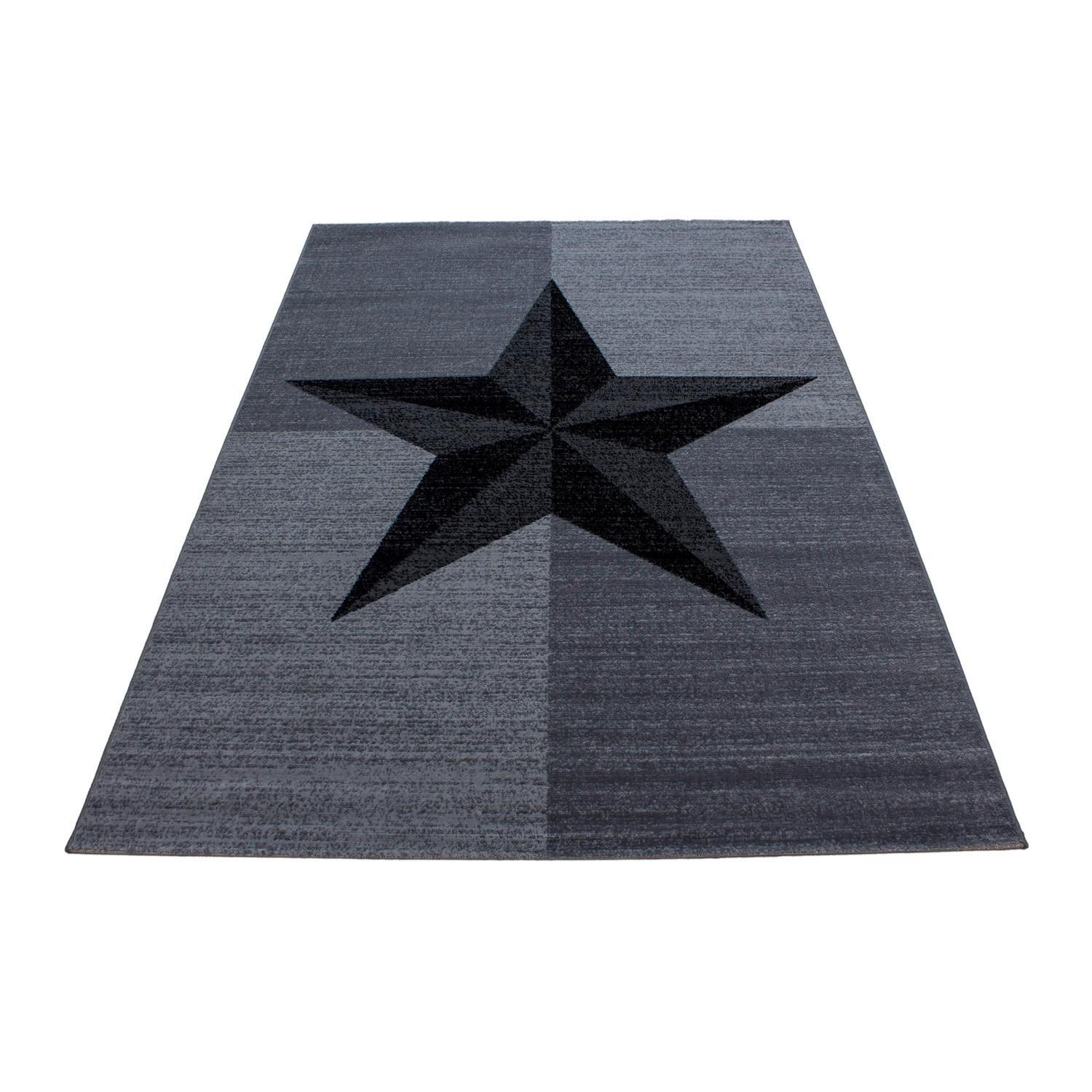 Hochflor Teppich Grau Plus 160x230 cm - Grau, Trend, Textil (160/230cm) - Novel