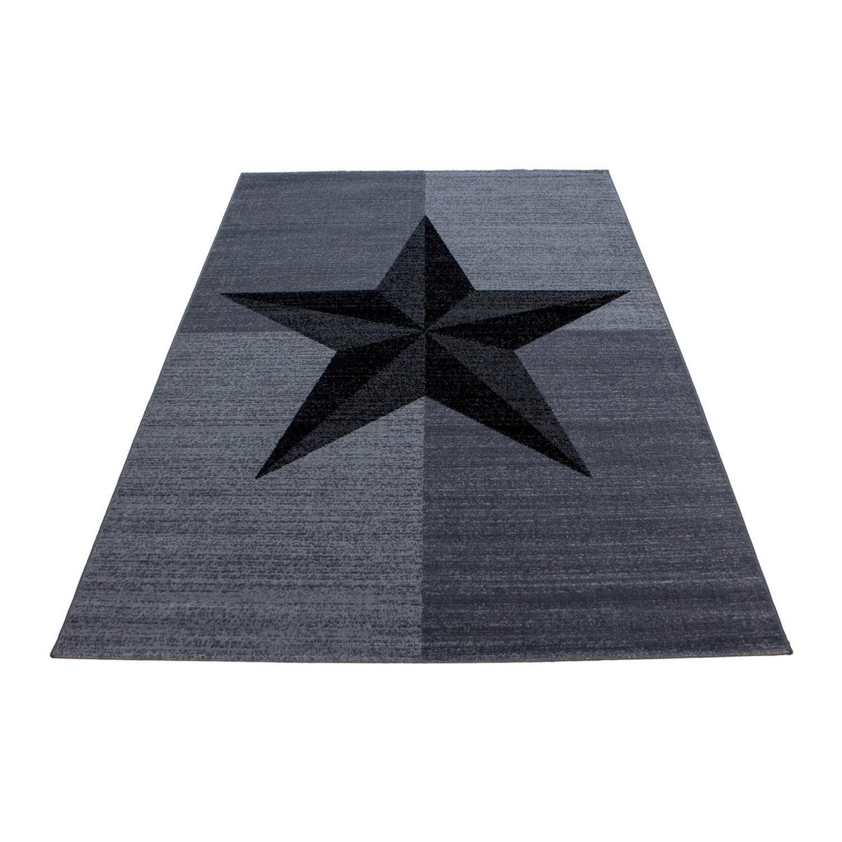 Hochflor Teppich Grau Plus 200x290 cm - Grau, Trend, Textil (200/290cm) - Novel