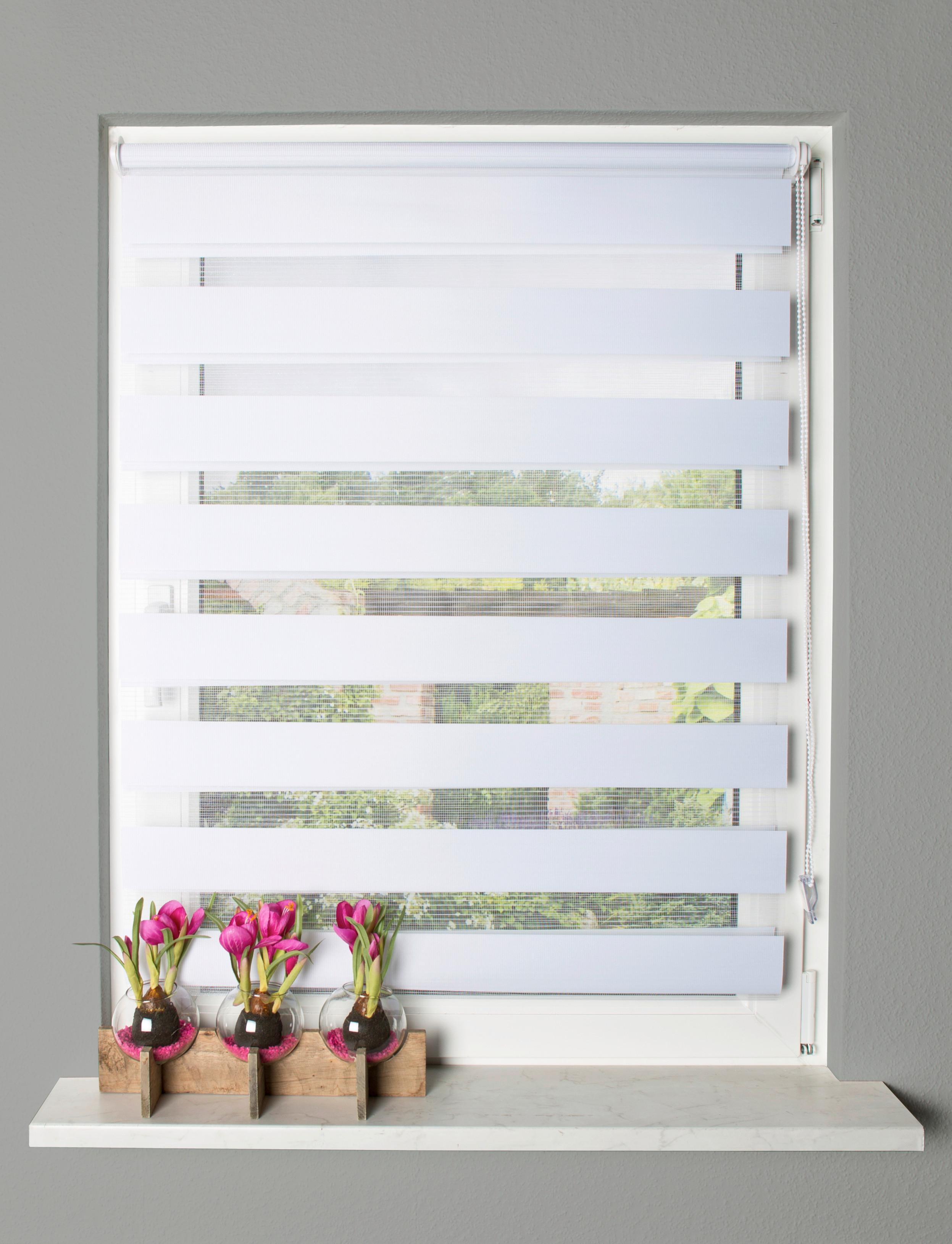 Doppelrollo Weiß B: 100 cm - Weiß, Design, Textil (100/150cm)