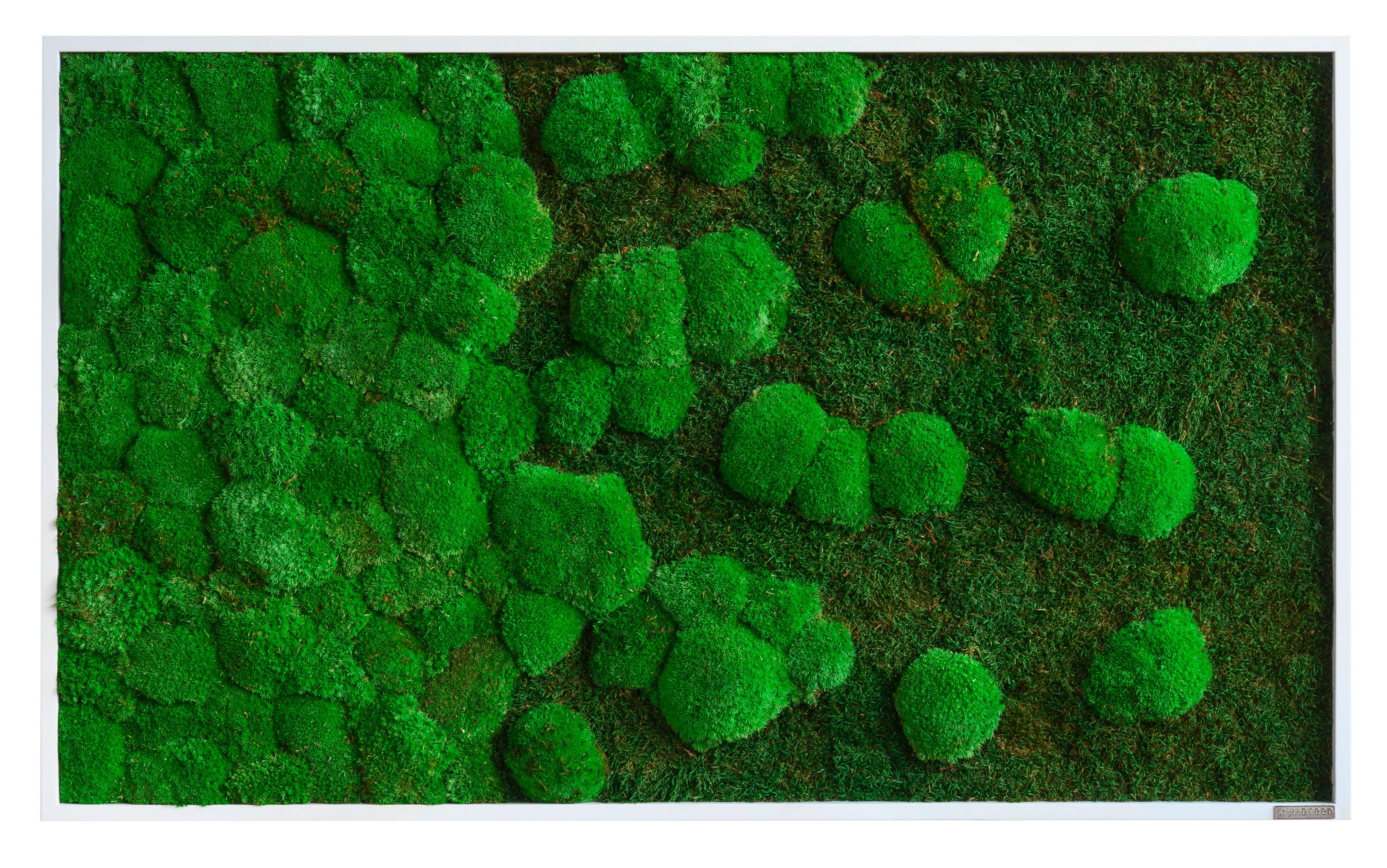 Moosbild Grün B: 100 cm - Weiß/Grün, Basics, Naturmaterialien/Holz (100/60/7cm)