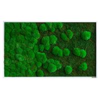 Moosbild Grün B: 100 cm - Weiß/Grün, Basics, Naturmaterialien/Holz (100/60/7cm)