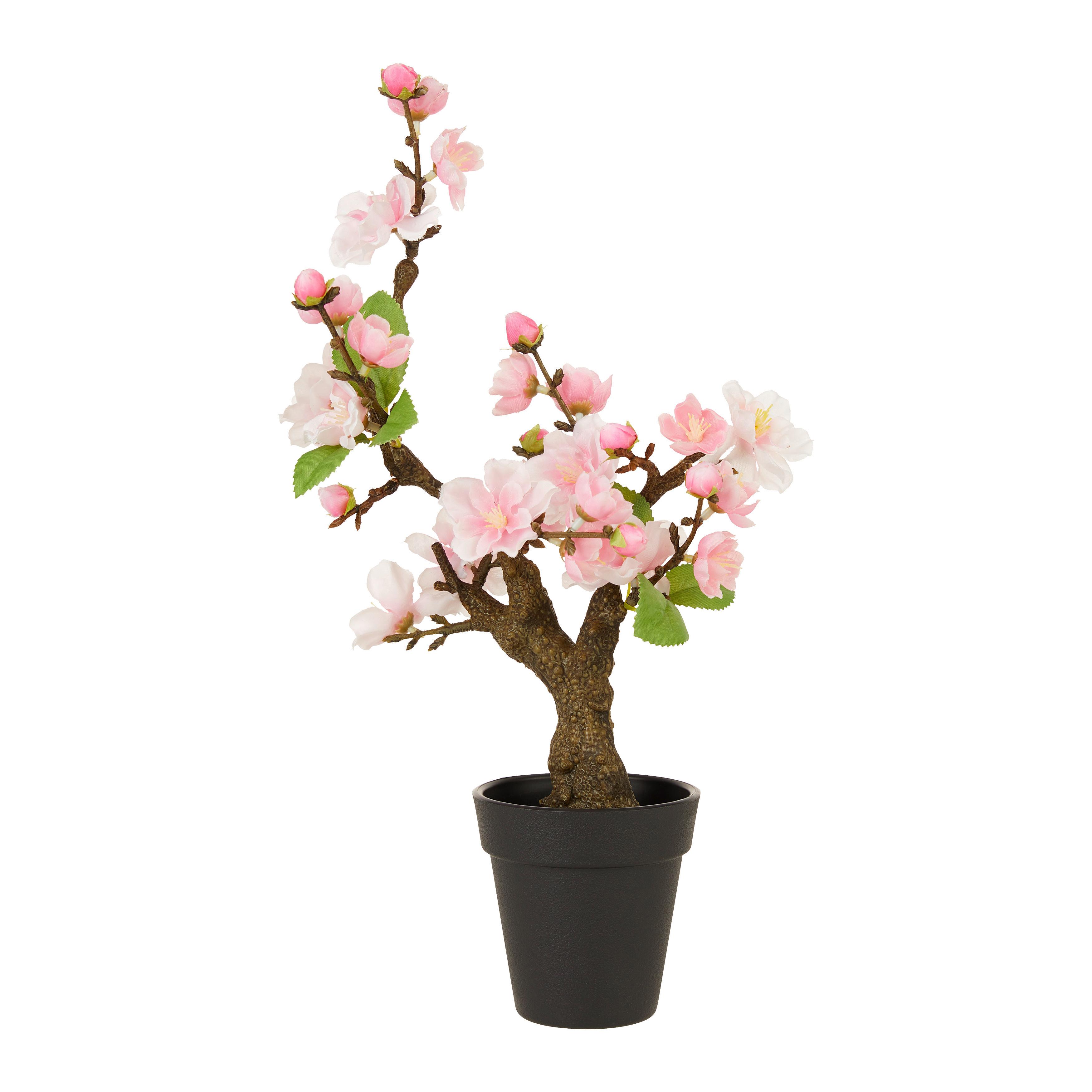Umelá rastliny Čerešňa Bonsai, V:32cm - čierna/zelená, Basics, plast (32cm) - Modern Living
