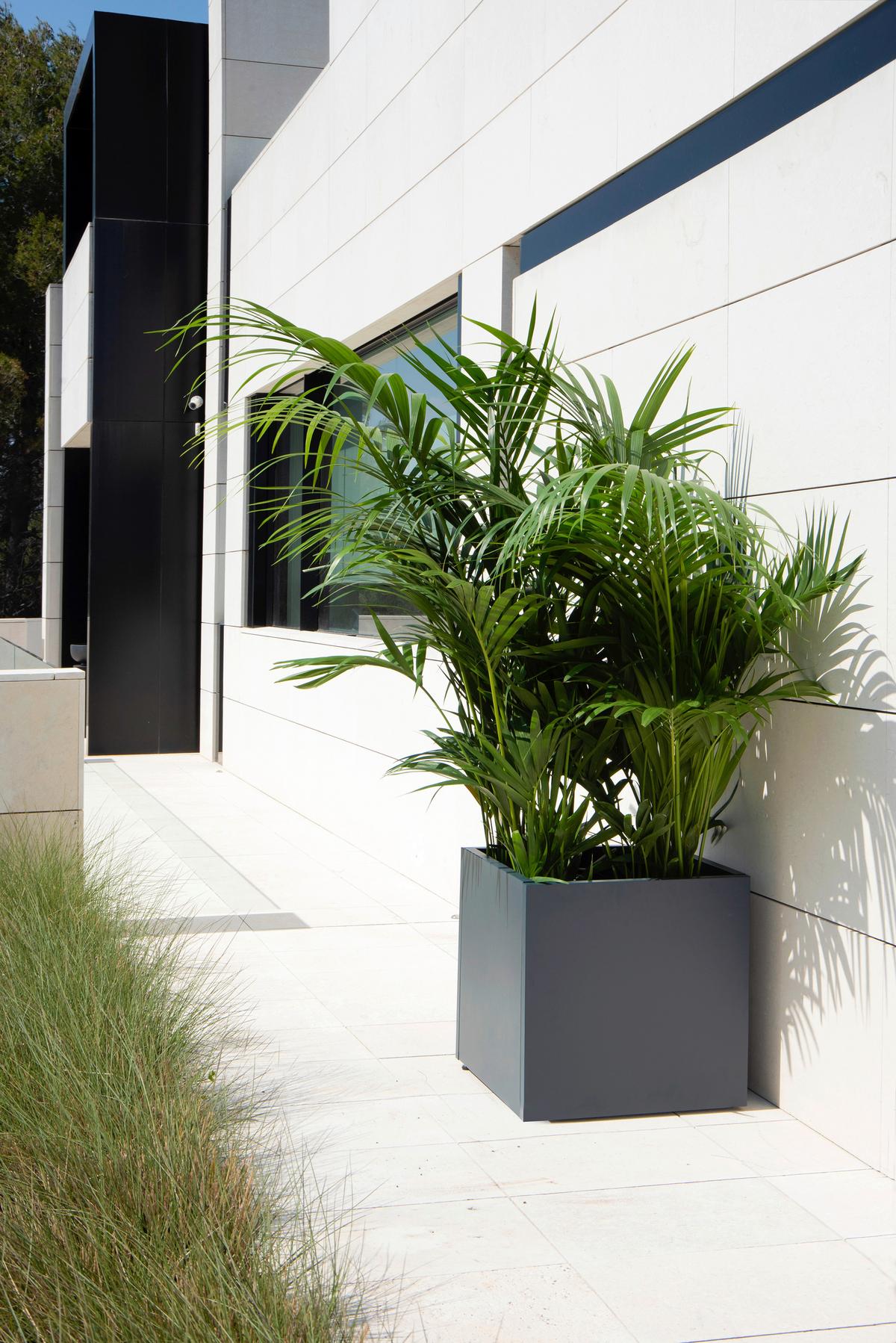 Pflanzentopf Pflanzkasten 50x50x50 - Anthrazit, Basics, Metall (50/50/50cm)