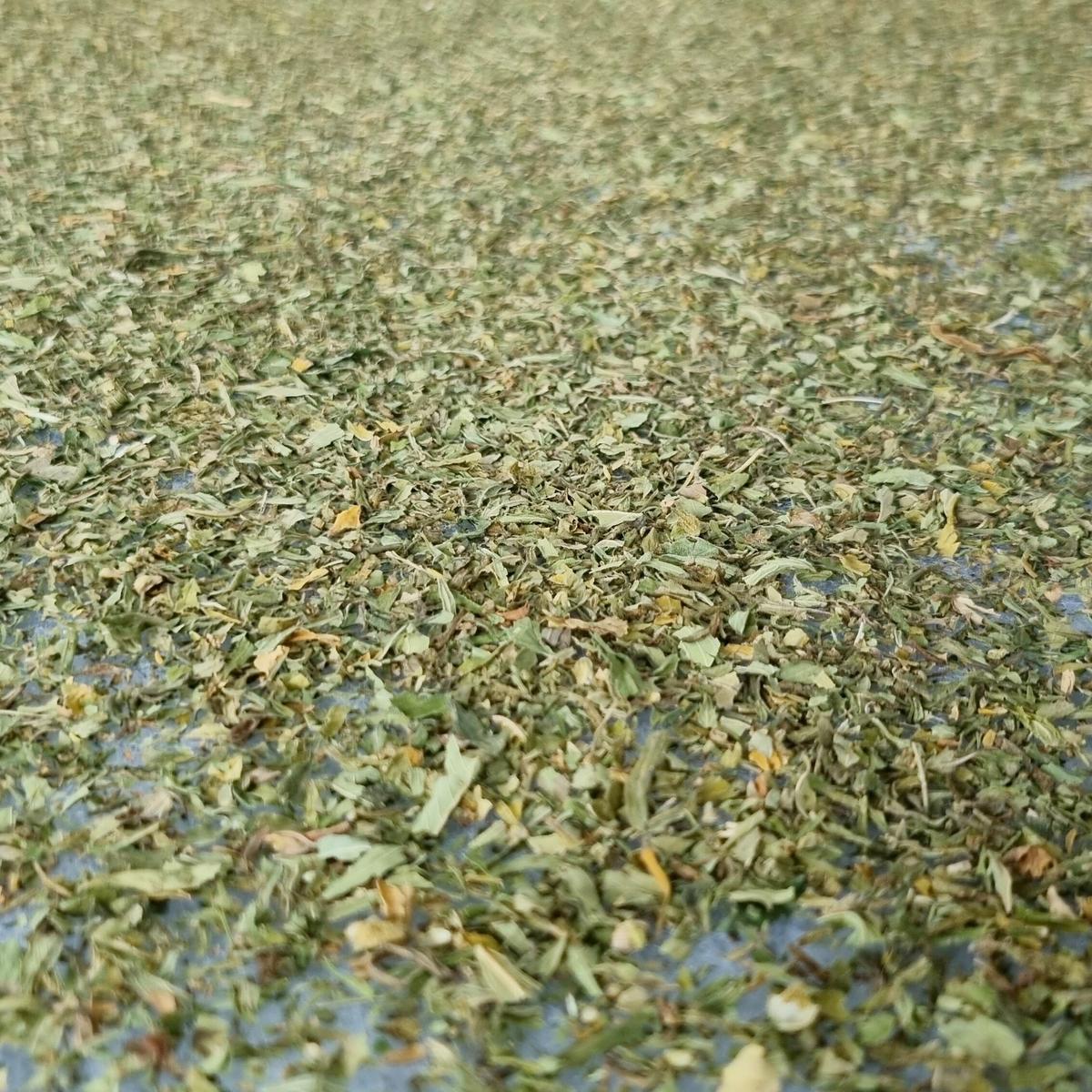 Matratzenauflage Hempysleep mit Aloe Vera 140x200 - Textil (200/140cm)
