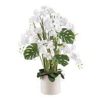 Kunstpflanze Orchideen Creme/grün/weiß, 120 Cm - Creme/Weiß, Design, Kunststoff (120cm) - P & B