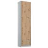 Drehtürenschrank Alabama Extra Hellgrau B: 47 cm - Hellgrau/Eiche Artisan, MODERN, Holzwerkstoff (47/229/54cm)