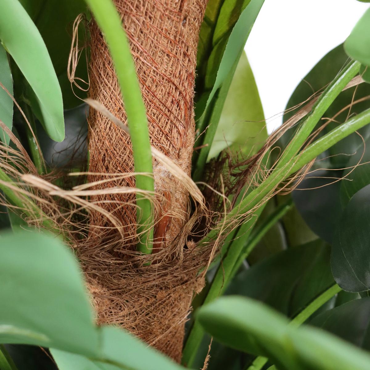 Kunstpflanze Braun/grün B: 67 Cm - Weiß/Braun, MODERN, Kunststoff (67/155/60cm) - MID.YOU