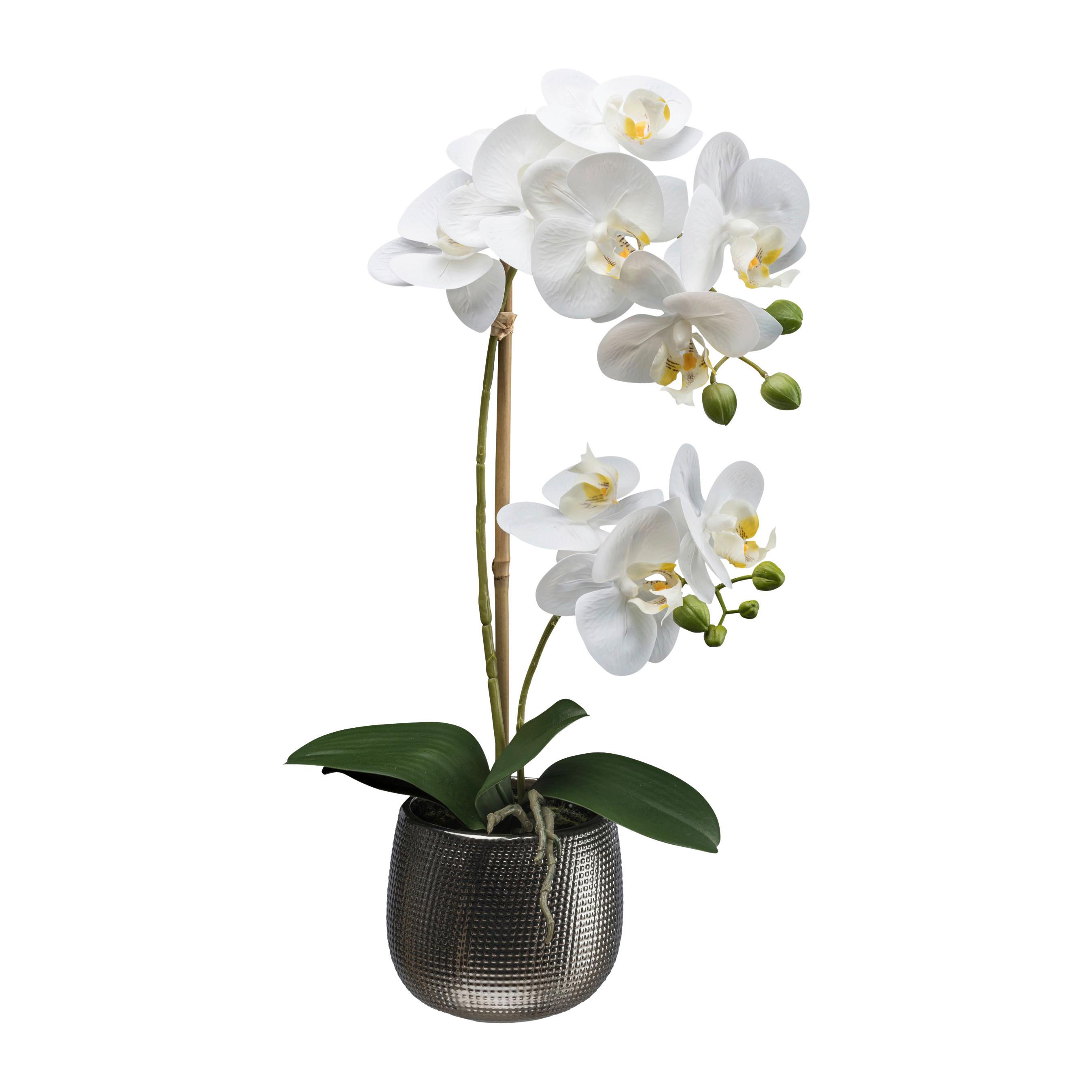 Kunstpflanze Orchideen Weiß, Topf: Grau, H: 48 cm - Dunkelgrau/Weiß, Design, Keramik/Kunststoff (48cm) - P & B