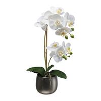 Kunstpflanze Orchideen Weiß, Topf: Grau, H: 48 cm - Dunkelgrau/Weiß, Design, Keramik/Kunststoff (48cm) - P & B