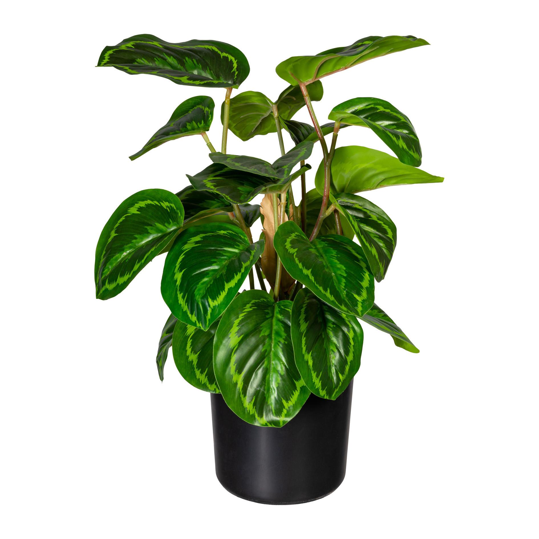 Kunstpflanze H: 45 cm - Schwarz/Braun, Design, Kunststoff (45cm) - P & B