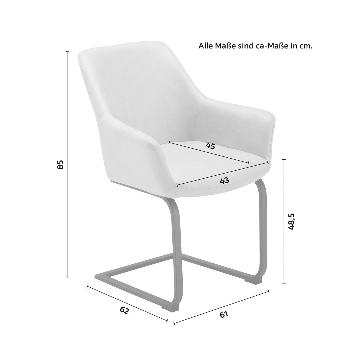 Židle PRIA světle šedá - černá/světle šedá, Moderní, kov/dřevo (61/85/62cm) - Bessagi Home