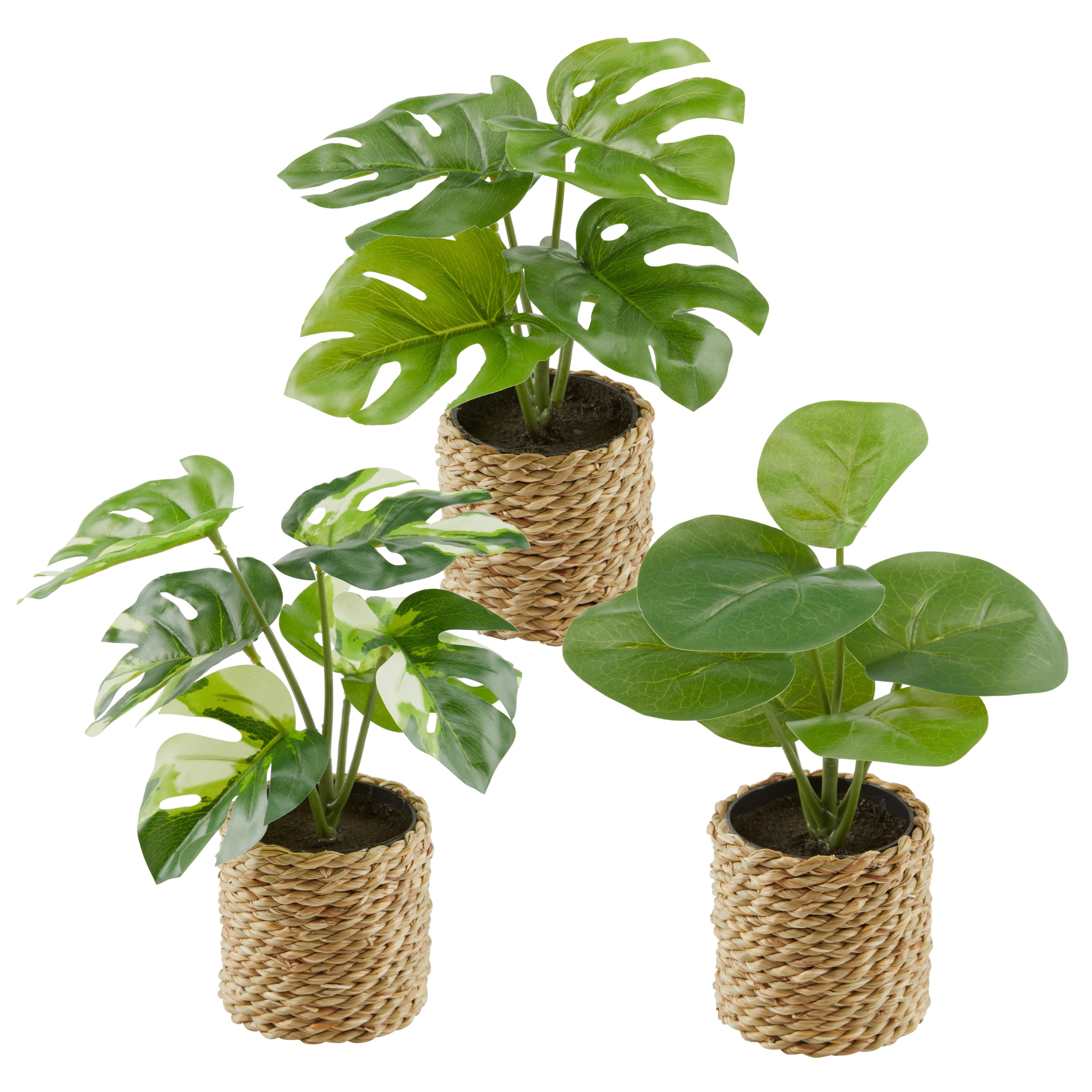 Kunstpflanze Kerstin - Naturfarben/Grün, MODERN, Naturmaterialien/Kunststoff (10/22cm) - Luca Bessoni