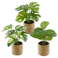 Kunstpflanze Kerstin - Naturfarben/Grün, MODERN, Naturmaterialien/Kunststoff (10/22cm) - Luca Bessoni