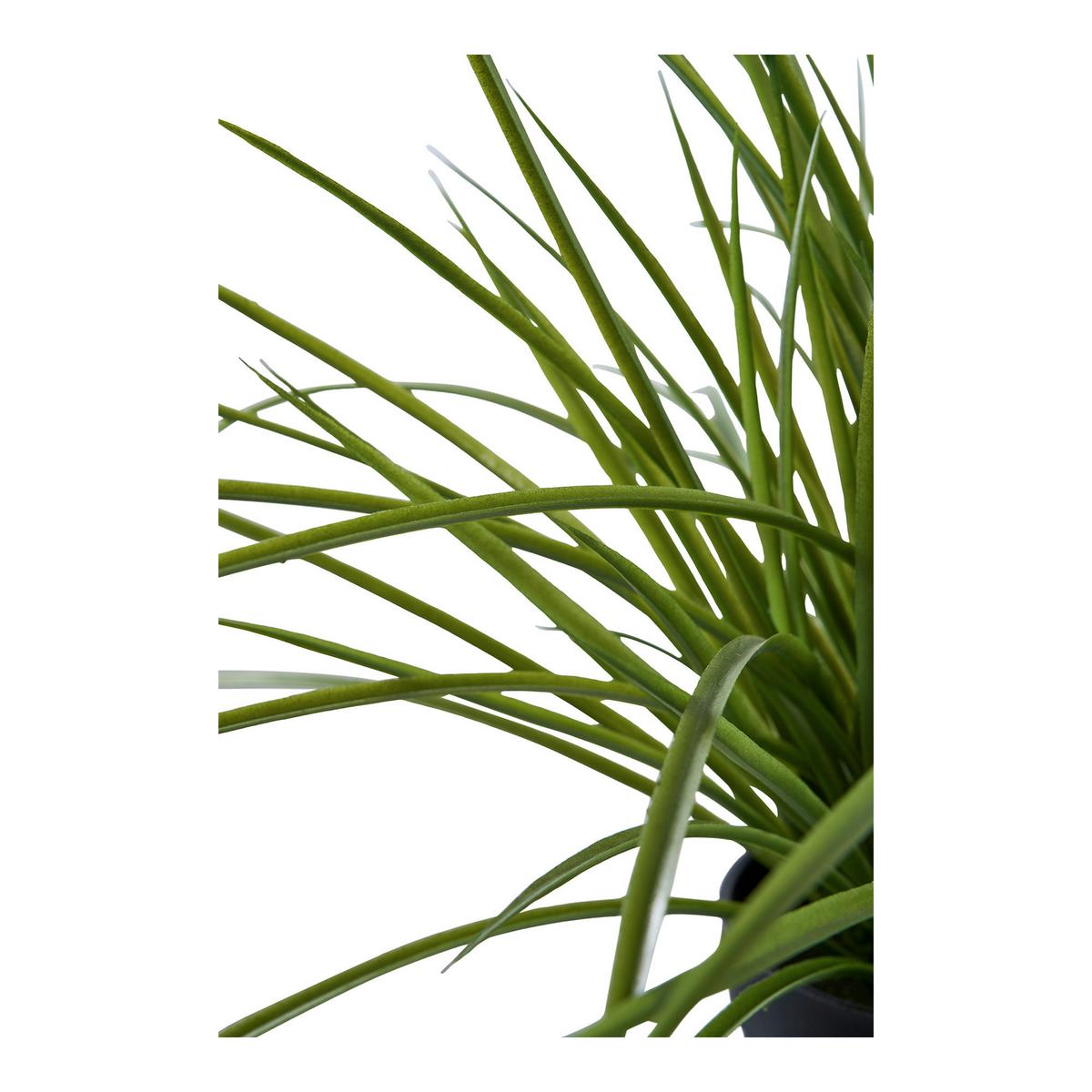 Kunstpflanze Grass Grün B: 51 cm - Grün, Design (51/45/51cm)