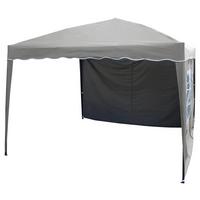 Pavillon Easy Up - Grau, KONVENTIONELL (295/250/295cm) - Gardenson