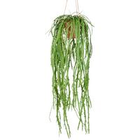 Rhipsalis Crispata Kunststoff, Grün, H: 80 - Naturfarben/Grün, Basics, Kunststoff (80cm) - P & B