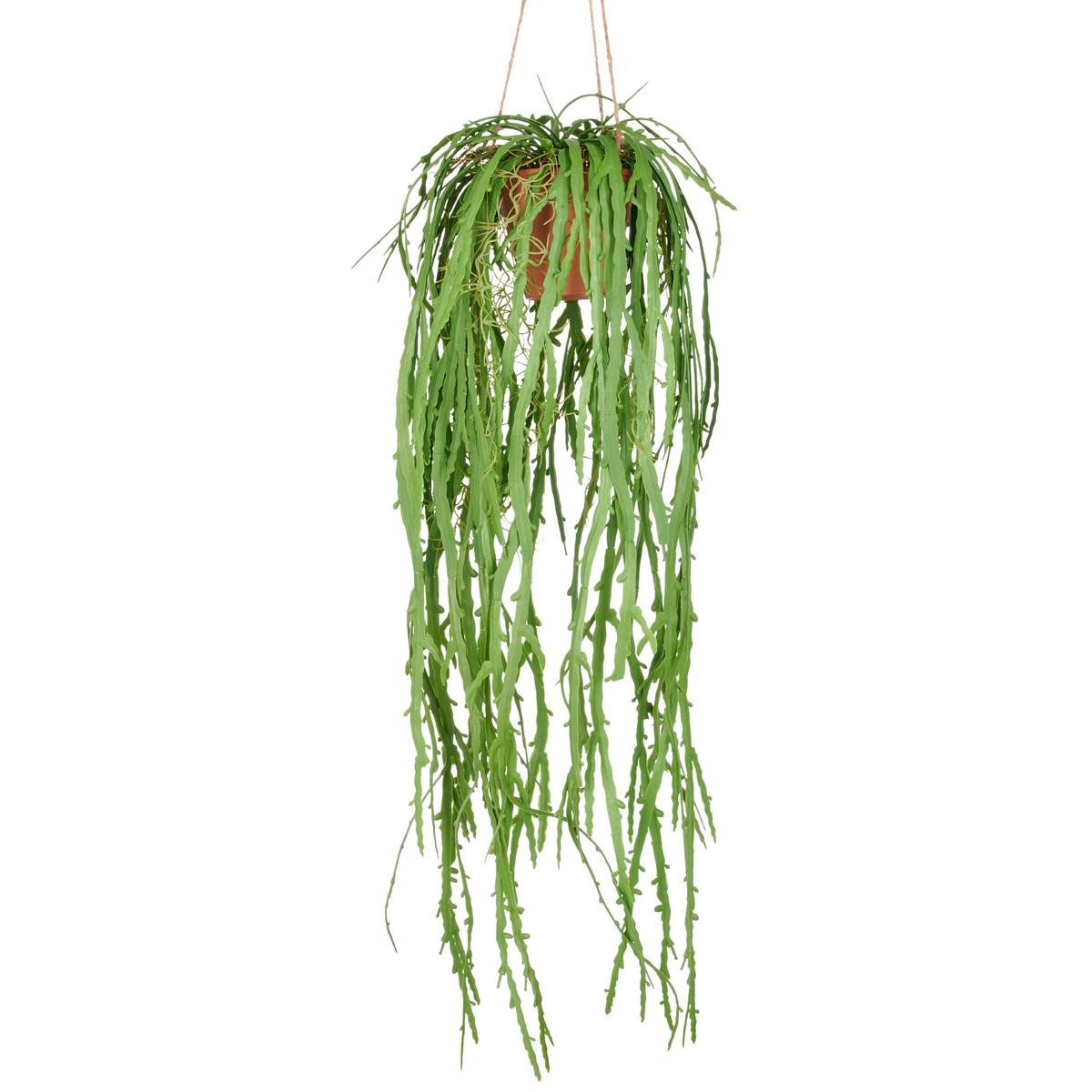 Rhipsalis Crispata Kunststoff, Grün, H: 80 - Naturfarben/Grün, Basics, Kunststoff (80cm) - P & B