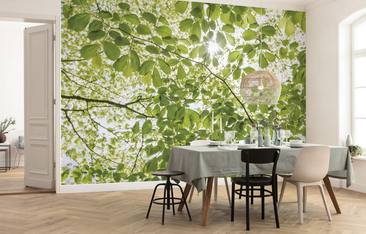 Fototapete im Frühlingswald - Weiß/Grün, Trend, Textil (250/280cm)