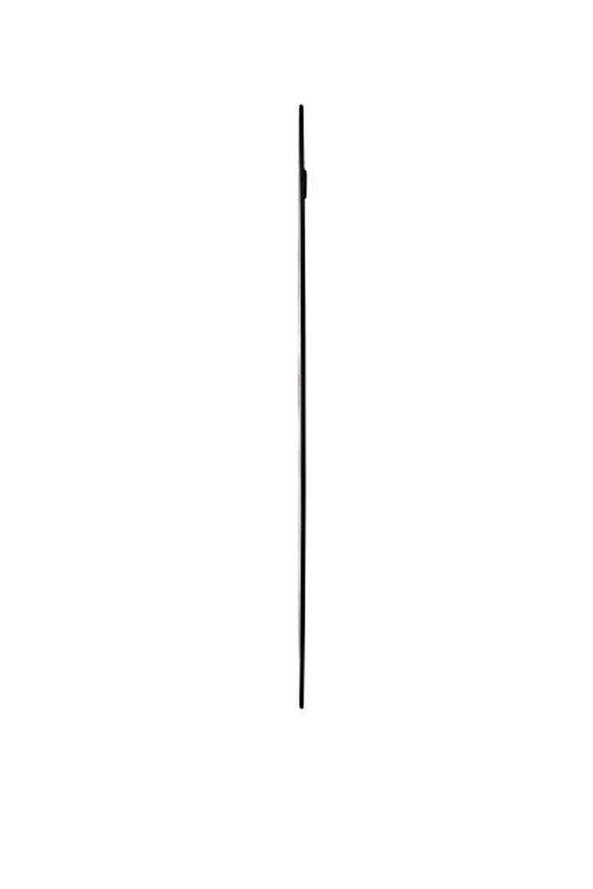 NÁSTENNÉ ZRKADLO IDA - čierna, Modern, kov/sklo (40/60cm) - Mömax