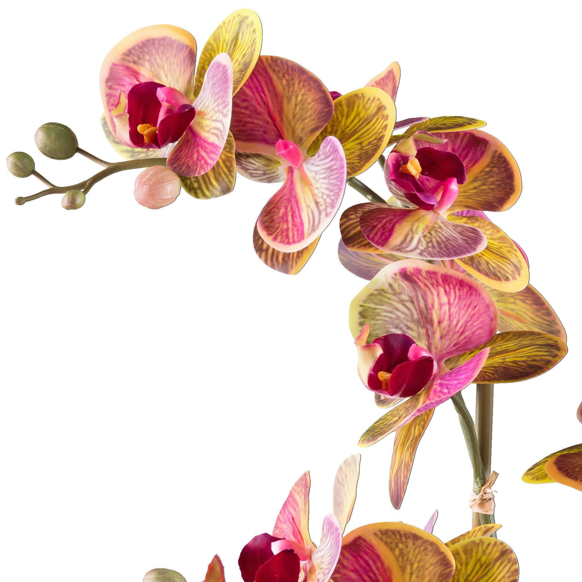 Kunstpflanze Orchideen Gelb/Grau/Grün/Pink, 56 cm - Pink/Gelb, Design, Kunststoff/Stein (56cm) - P & B