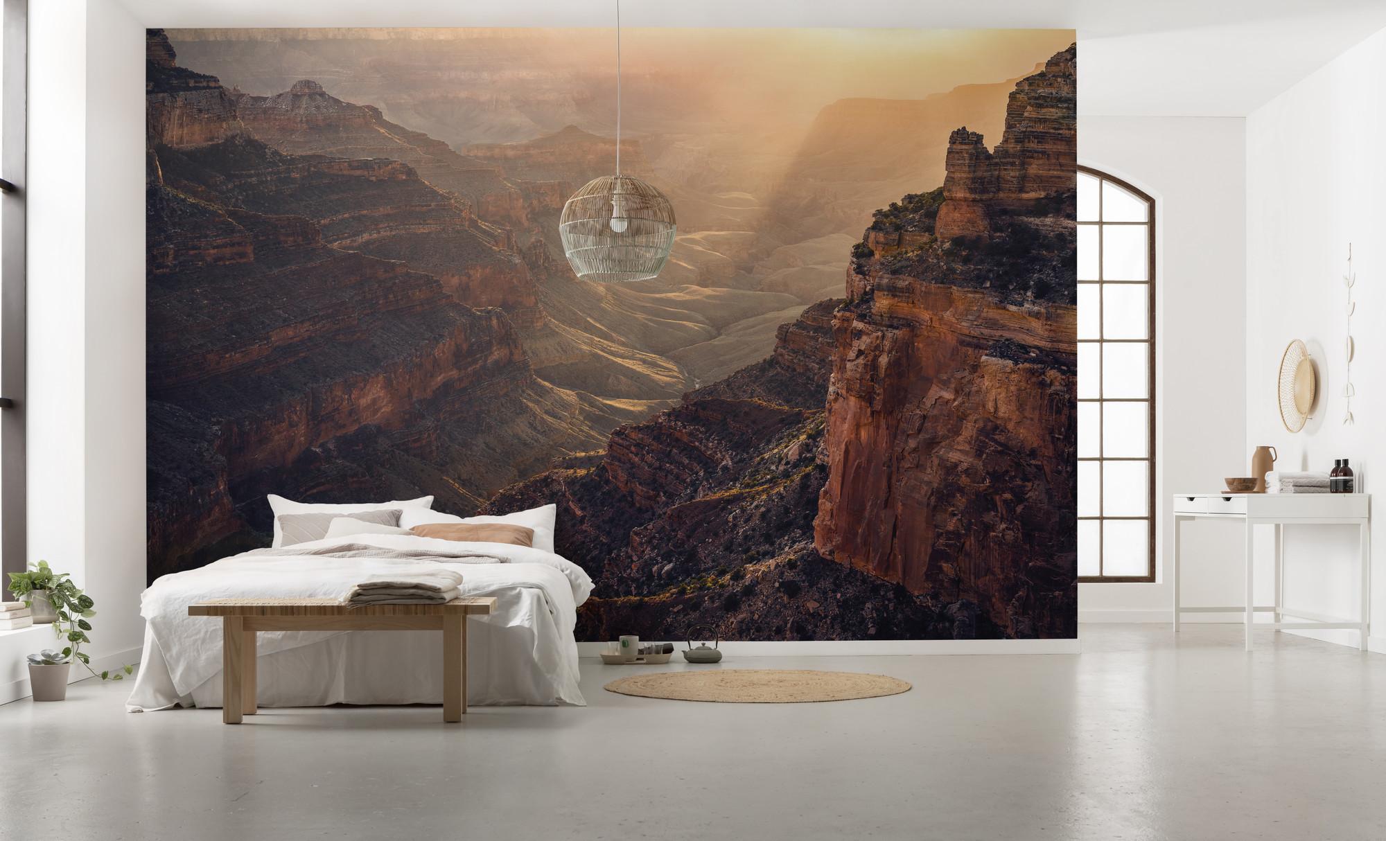 Fototapete Grand Wonder - Braun, Trend, Textil (450/280cm)