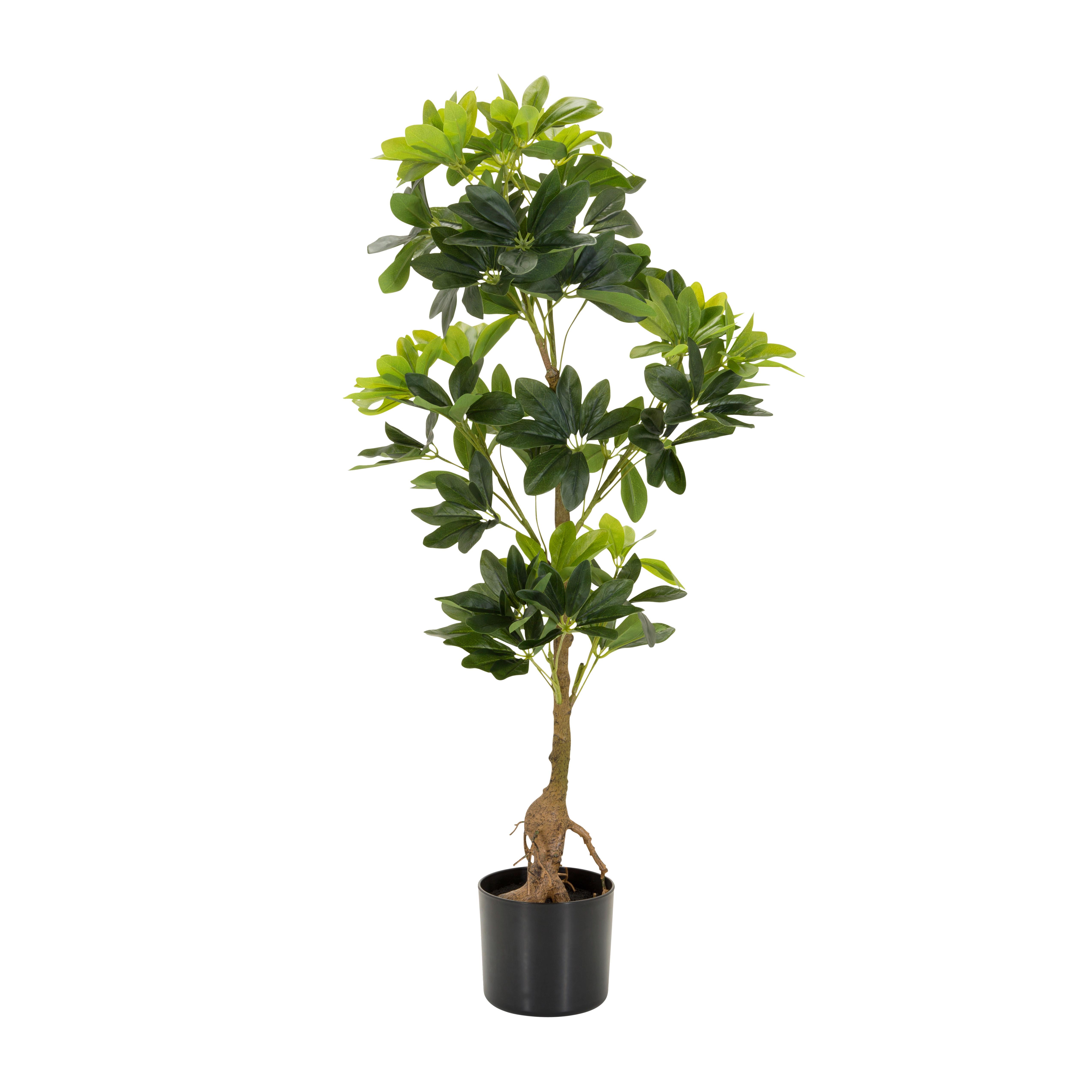 Kunstpflanze Schefflera - Schwarz/Braun, Basics, Kunststoff/Textil (38/100/30cm) - MID.YOU