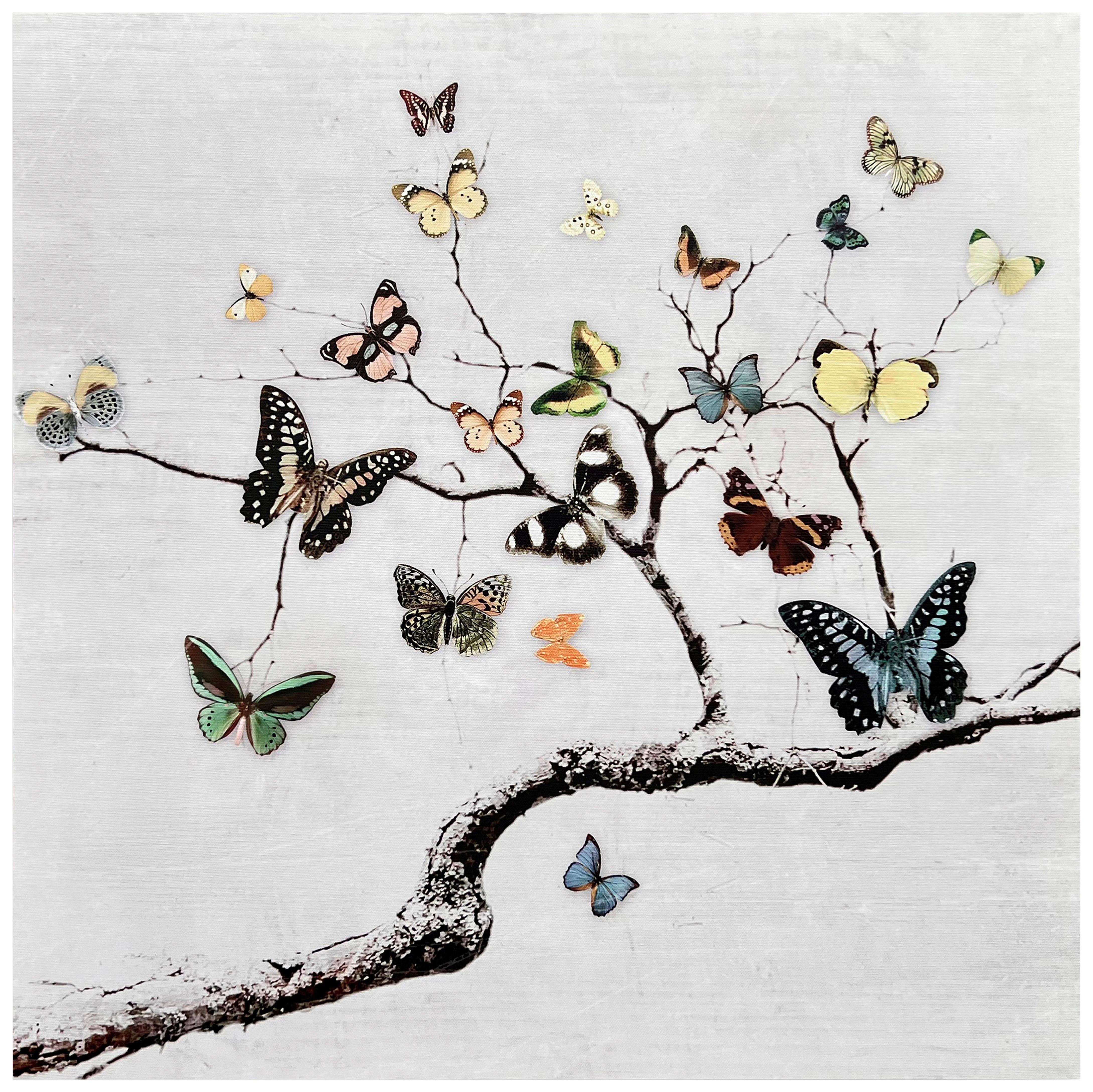 Keilrahmenbild Natalie - Multicolor/Naturfarben, KONVENTIONELL, Holz/Textil (50/50/1,8cm) - James Wood