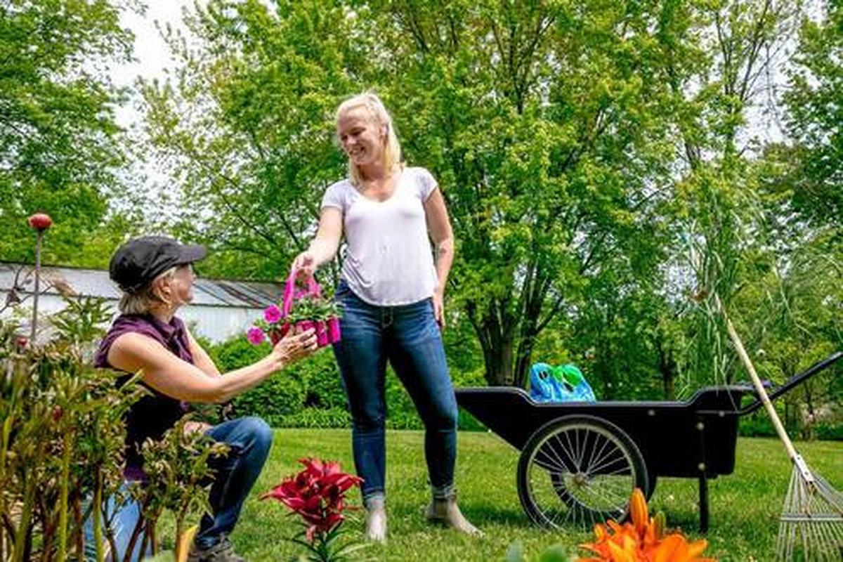 Gartenkarre Premium Schubkarre - Schwarz, Basics, Kunststoff (74/74/165cm)