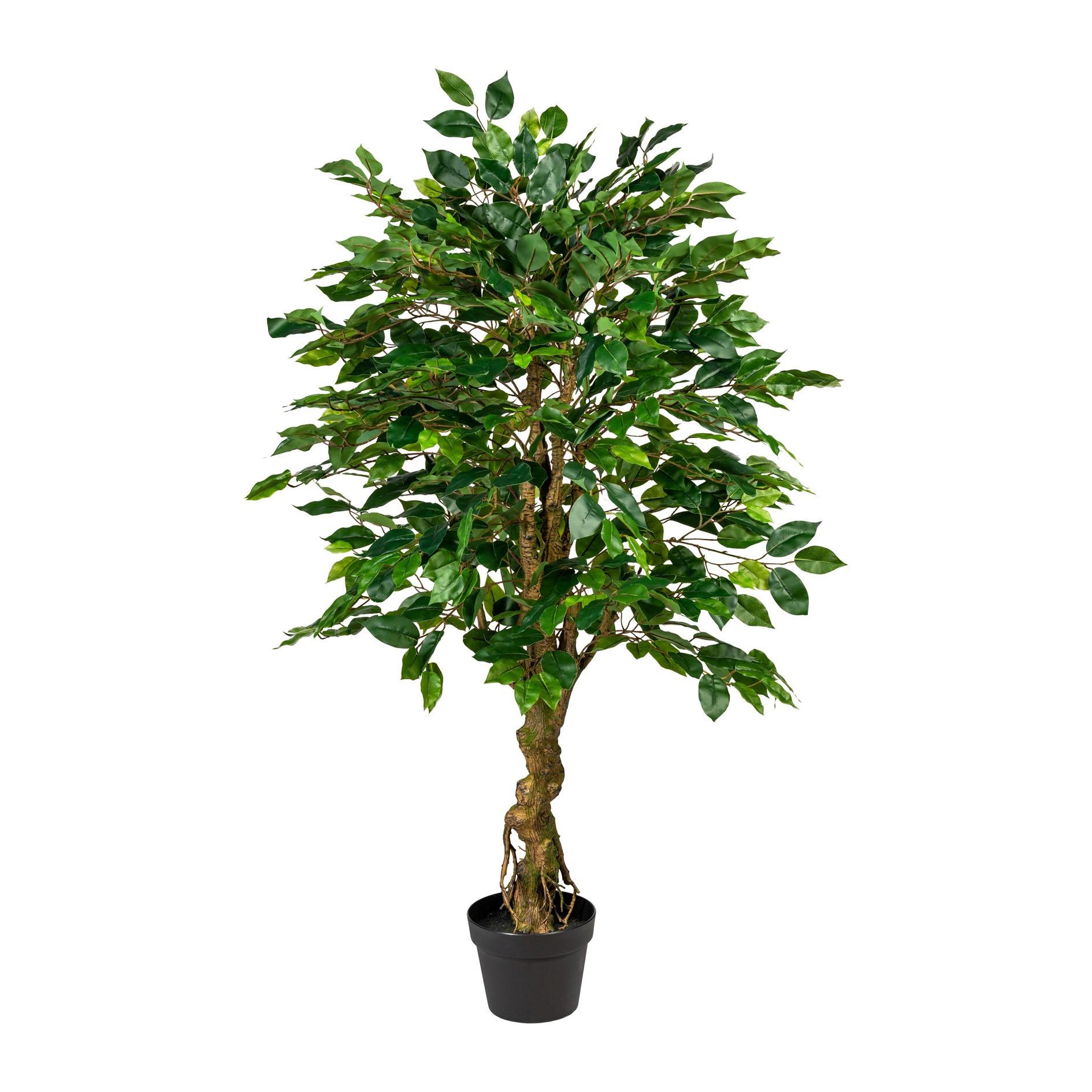 Kunstpflanze Ficus Benjamina H: 125 cm - Schwarz/Braun, Design, Kunststoff (125cm) - P & B