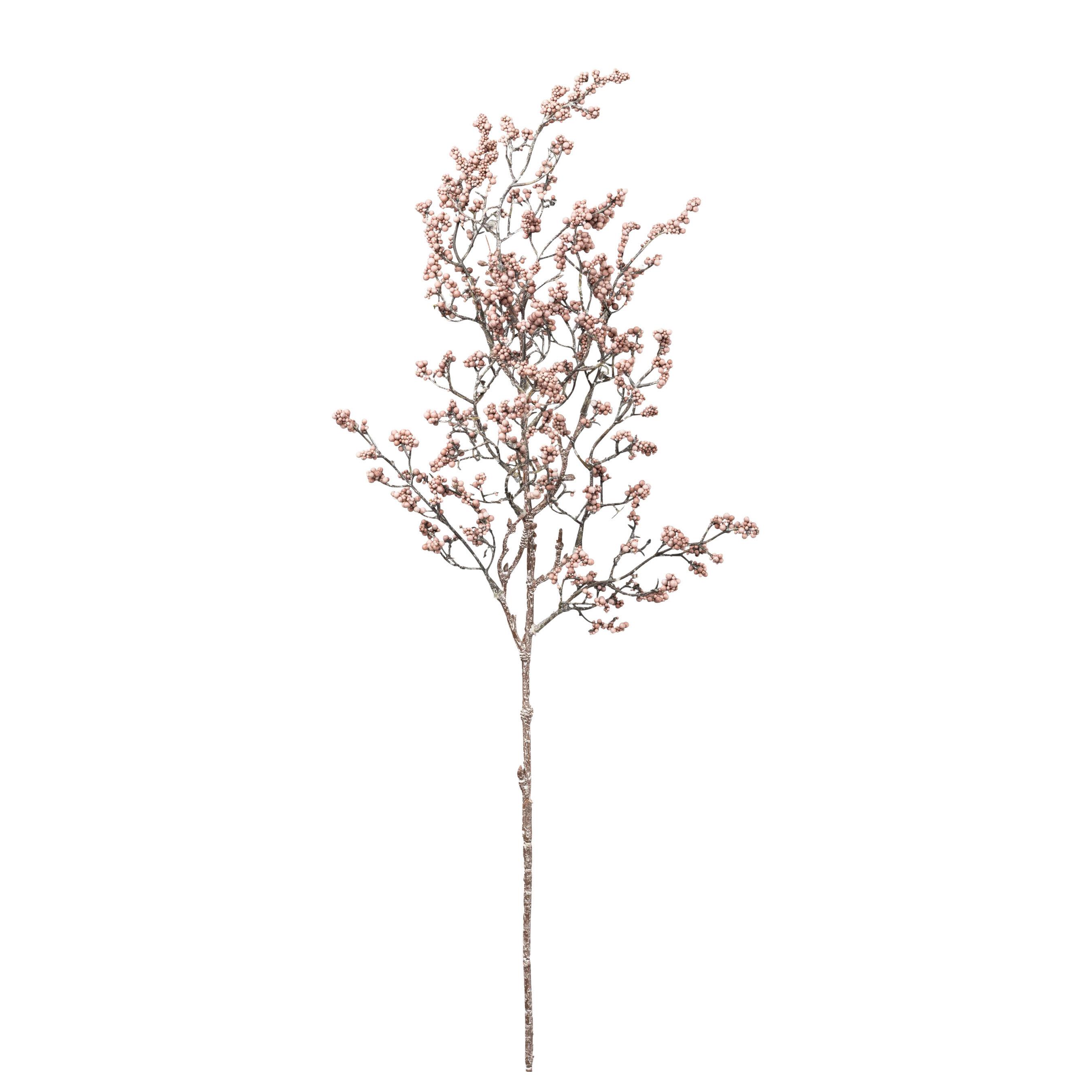 Umelá rastlina BEERENZWEIG I - prírodná farba/hnedofialová, Basics, plast (70cm) - Mömax