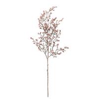 Umelá rastlina BEERENZWEIG I - prírodná farba/hnedofialová, Basics, plast (70cm) - Mömax