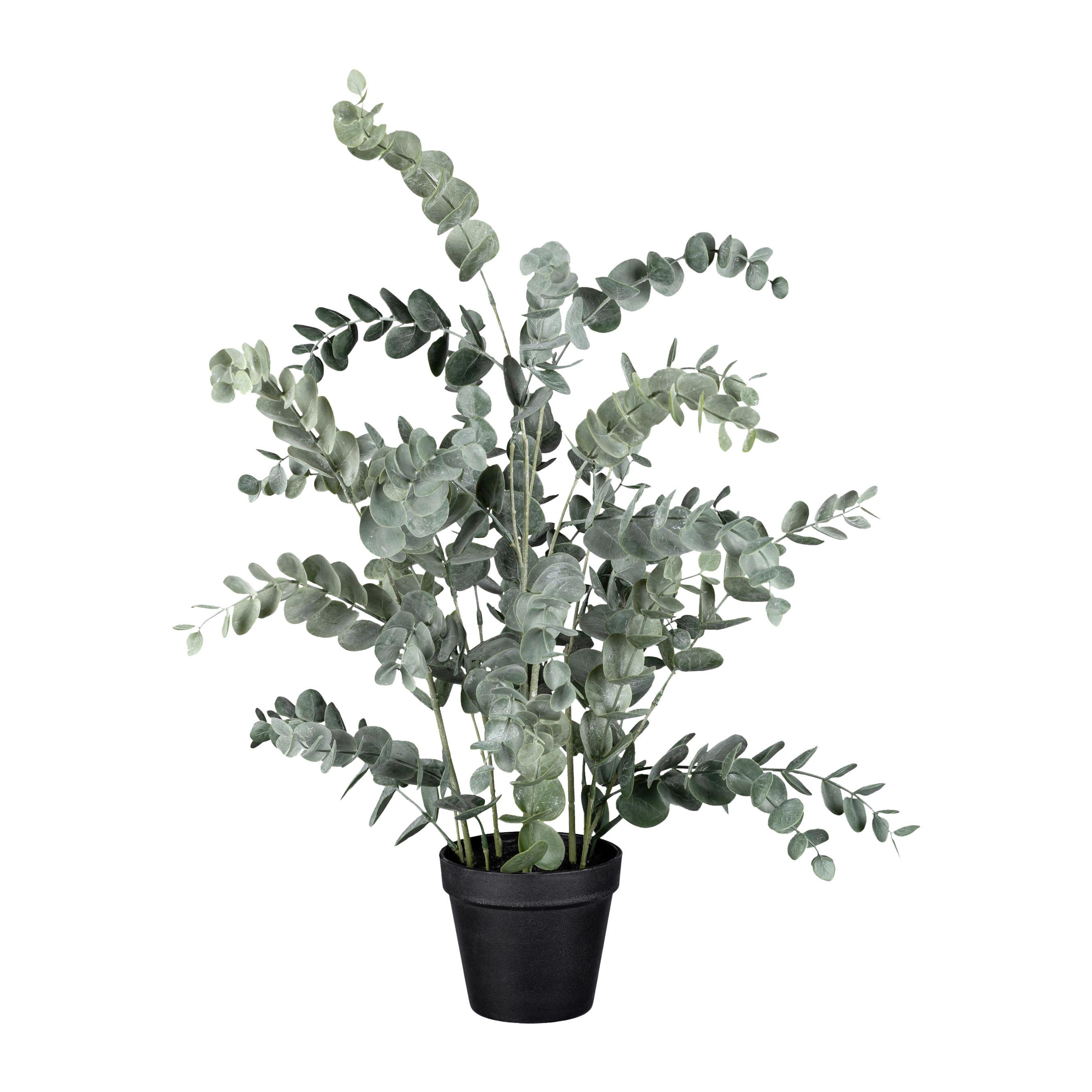Kunstpflanze Eukalypthus - Grün, Basics, Kunststoff/Metall (67cm)
