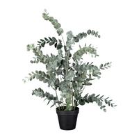 Kunstpflanze Eukalypthus - Grün, Basics, Kunststoff/Metall (67cm)