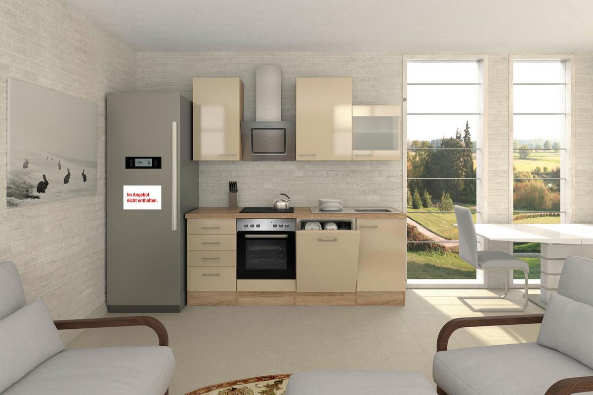 Küchenzeile Nepal Mit Geräten 220 Cm Kaschmir/eiche Dekor - Kaschmir/Sonoma Eiche, MODERN, Glas/Holzwerkstoff (220cm) - FlexWell