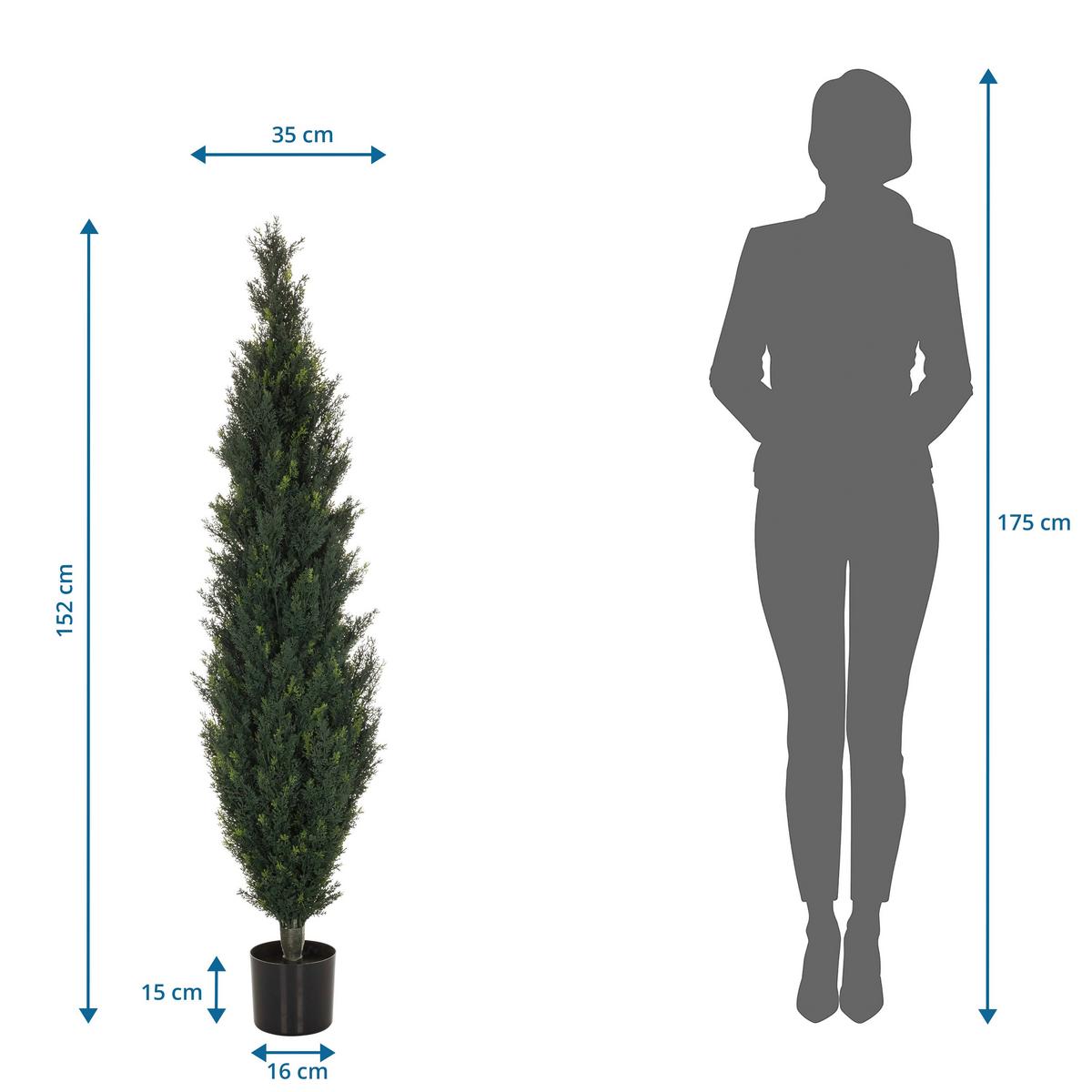 Kunstpflanze Cedrus 152 Cm Grün - Schwarz/Grün, Basics, Kunststoff (35/152/35cm) - MID.YOU