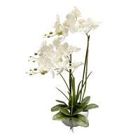 Orchidee Merve - Weiß/Grün, KONVENTIONELL, Kunststoff/Textil (30/25/57cm) - Luca Bessoni