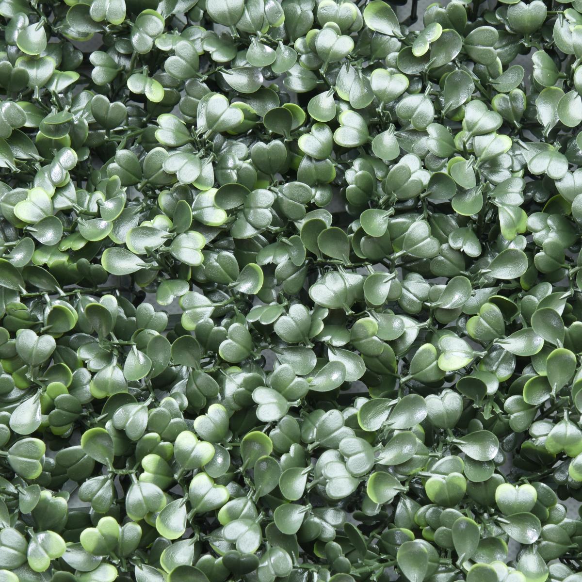 KUNSTPFLANZE Leafluxe Grün B: 50cm - Grün, MODERN, Kunststoff (50/50/7cm) - MID.YOU