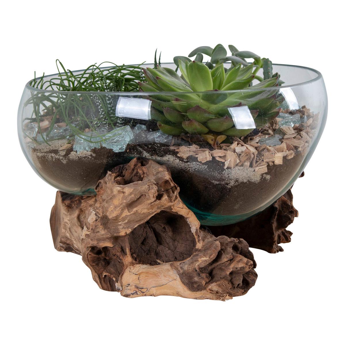 Dekoschale San Marino Klar Teakfarben - Klar/Teakfarben, Basics, Glas/Holz (26/20cm)