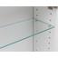 Spiegelschrank mit Türdämpfer + Led Arezzo B: 120cm, Graphit - Weiß, Basics, Glas/Holzwerkstoff (120/64/20cm) - Livetastic Spiegelschrank mit Türdämpfer + Led Arezzo B: 120cm, Graphit - Weiß, Basics, Glas/Holzwerkstoff (120/64/20cm) - Livetastic