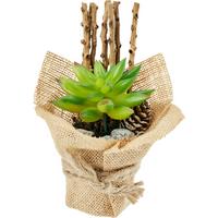 Kunstpflanze Sukkulente Grün/ Naturfarben L: 16 Cm, Sunniva - Naturfarben/Braun, MODERN, Karton/Naturmaterialien (7/16cm) - Luca Bessoni