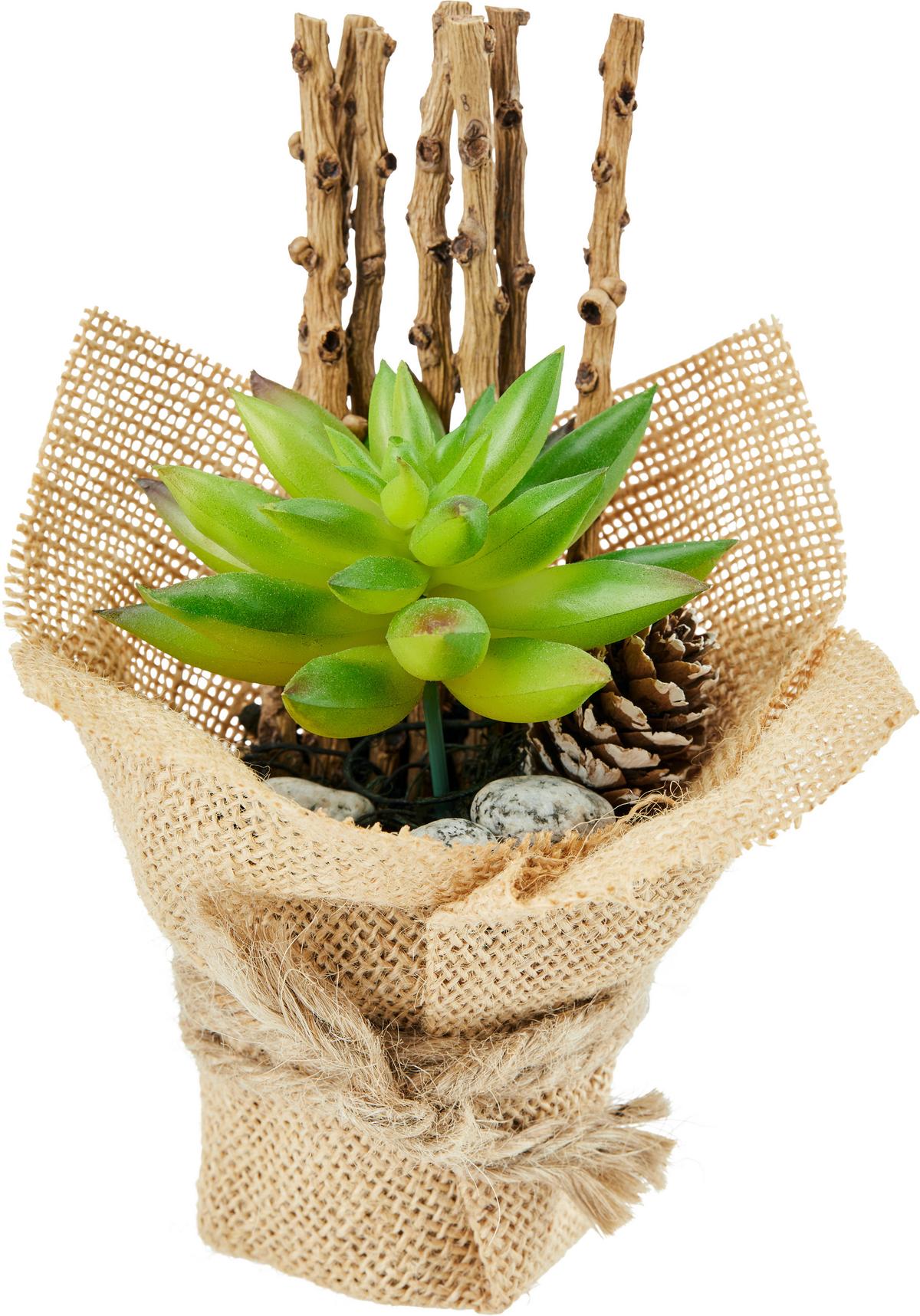 Kunstpflanze Sukkulente Grün/ Naturfarben L: 16 Cm, Sunniva - Naturfarben/Braun, MODERN, Karton/Naturmaterialien (7/16cm) - Luca Bessoni