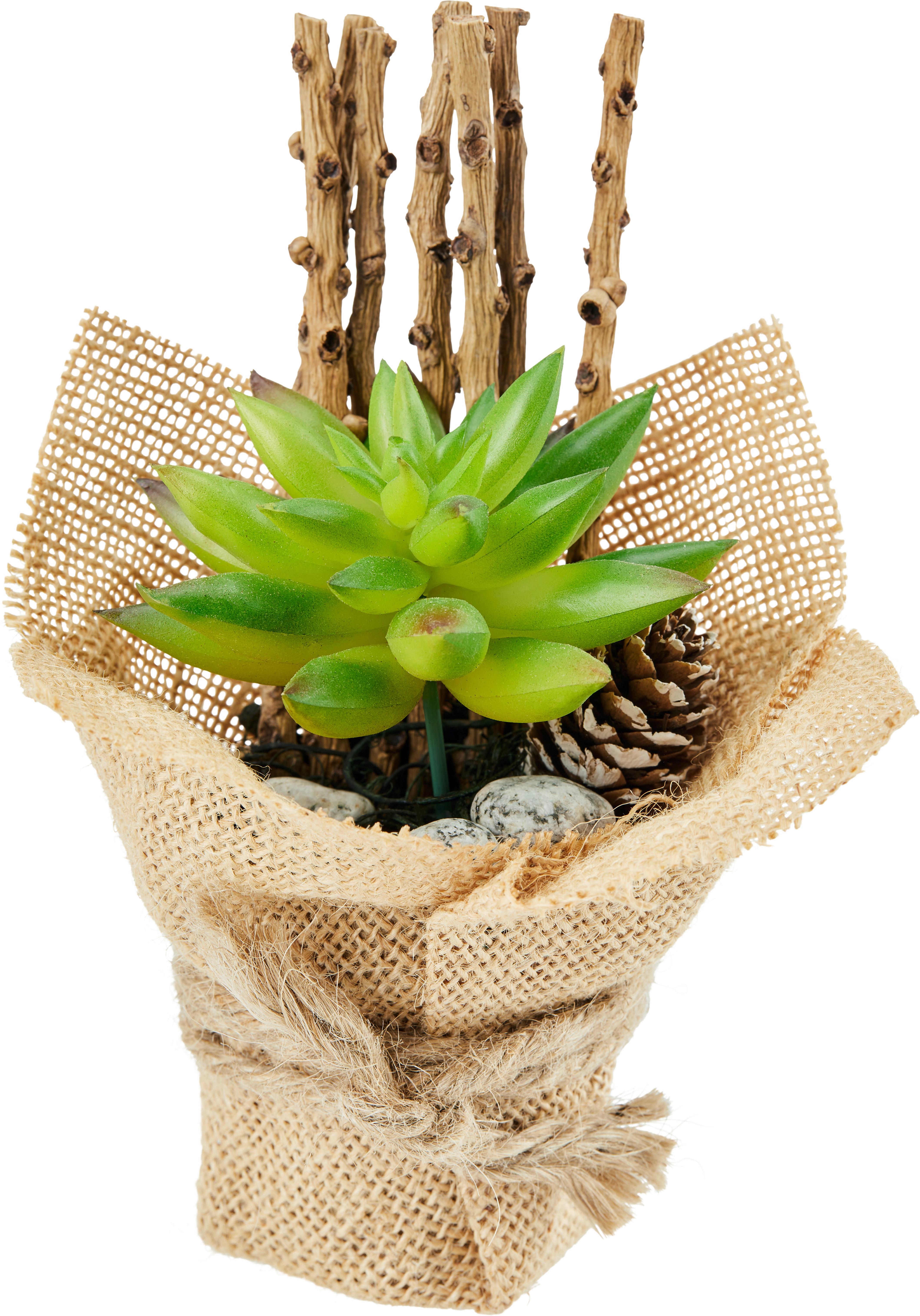 Kunstpflanze Sukkulente Grün/ Naturfarben L: 16 Cm, Sunniva