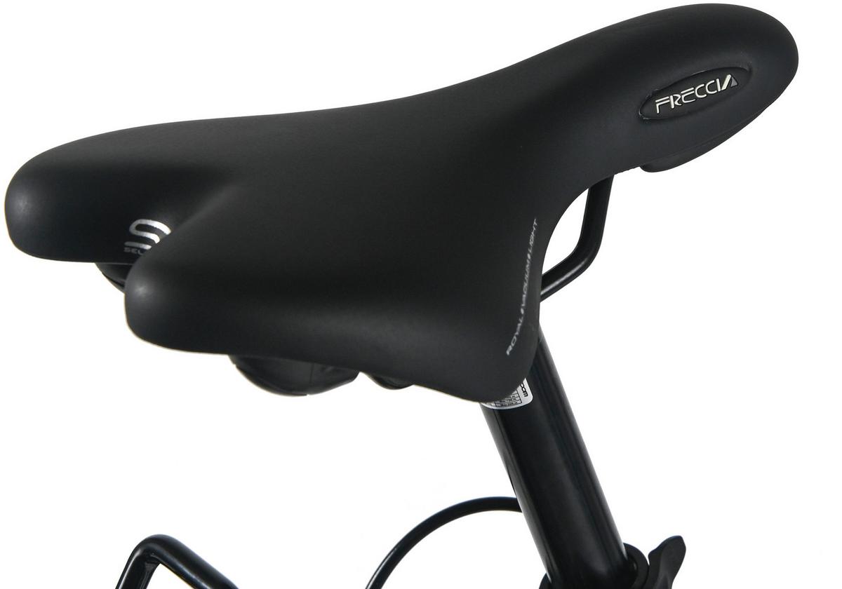 Dacapo Damenrad Padova 28 Zoll Rh 48 Cm - Schwarz, Basics, Metall (25cm)