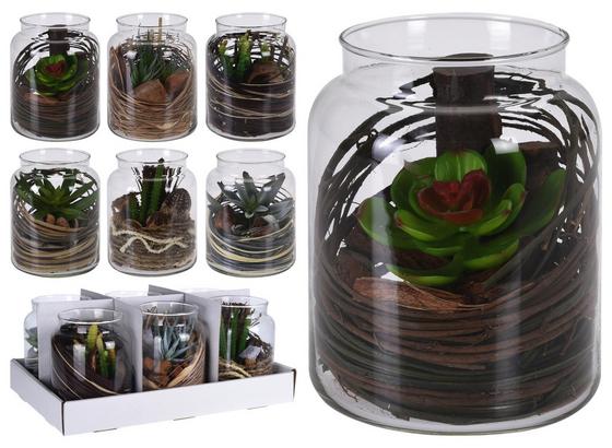 Sukkulente Florin - Transparent/Braun, MODERN, Glas/Kunststoff (12/16cm) Sukkulente Florin - Transparent/Braun, MODERN, Glas/Kunststoff (12/16cm)