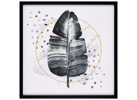 Bild Aleksandra - Goldfarben/Schwarz, MODERN, Holzwerkstoff/Kunststoff (50/50/2,5cm) - Luca Bessoni Bild Aleksandra - Goldfarben/Schwarz, MODERN, Holzwerkstoff/Kunststoff (50/50/2,5cm) - Luca Bessoni