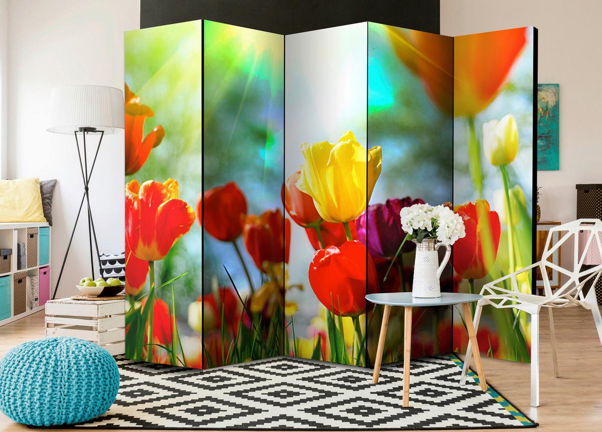 Paravent Multicolor B: 225 Cm - Multicolor, Basics, Holz/Textil (225/172/3cm) - artgeist