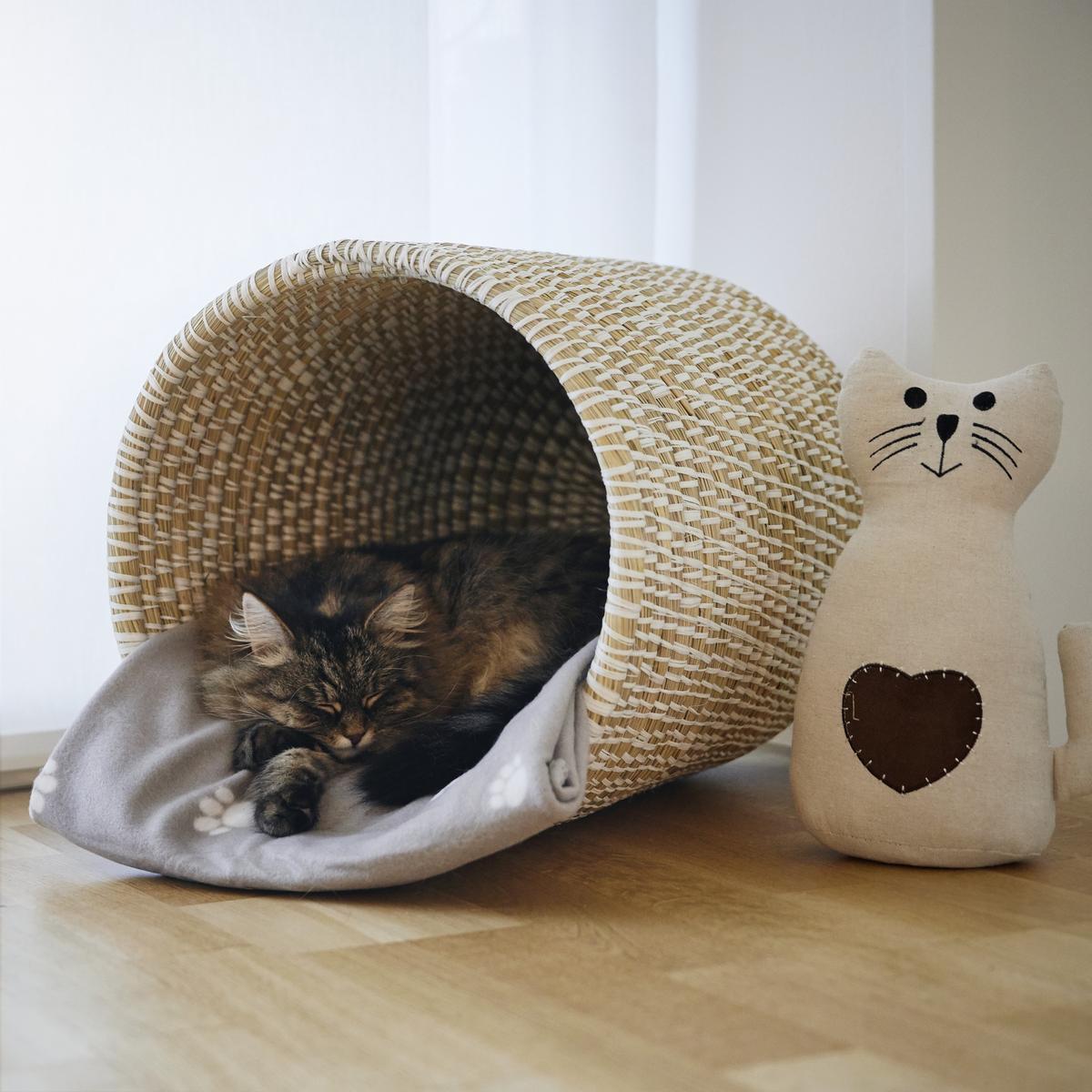 MĚKKÁ DEKA Pet, 120//150cm, šedá - béžová, textil (120/150cm) - Modern Living