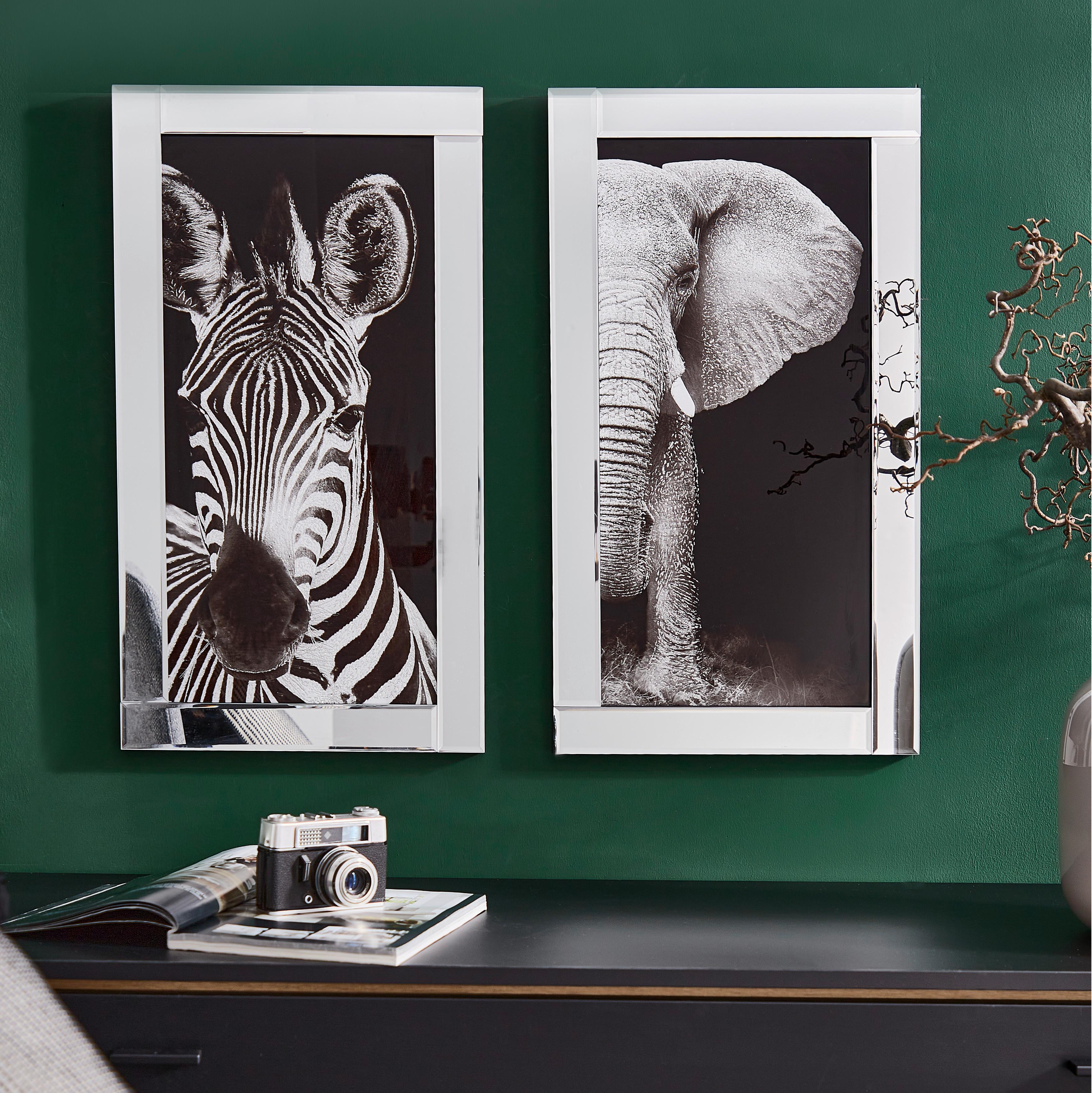 Bild Viska Tiere Schwarz/weiß 38x68 Cm - Schwarz/Weiß, Basics, Glas/Papier (38/68/2,3cm) - Luca Bessoni