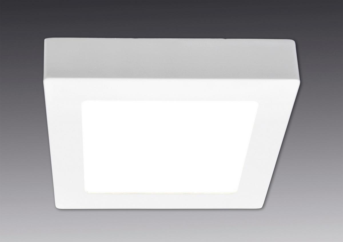 LED-Deckenleuchte L: 30 cm dimmbar - Weiß, Basics, Kunststoff/Metall (30/30/3,5cm) - Näve